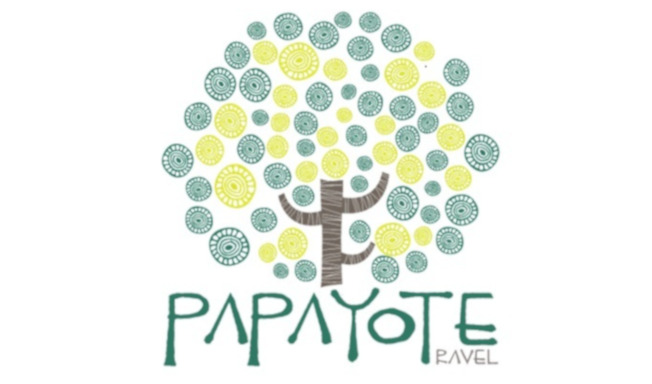 PAPAYOTE DMC SAS LOGO